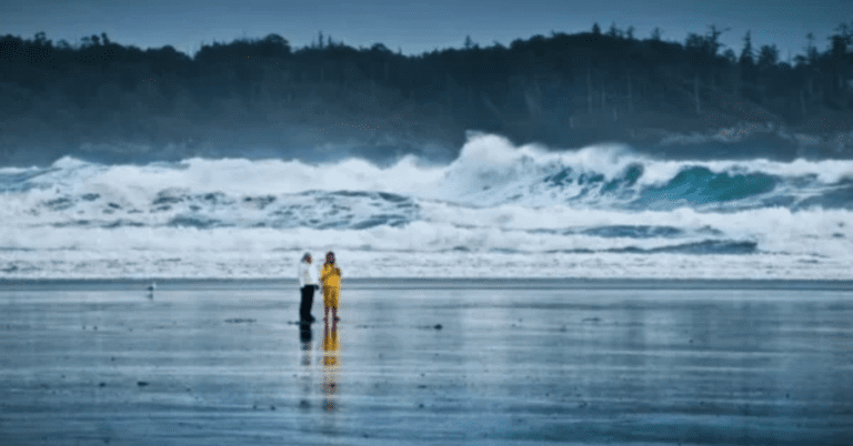 pacific-rim-national-park-storm-watching