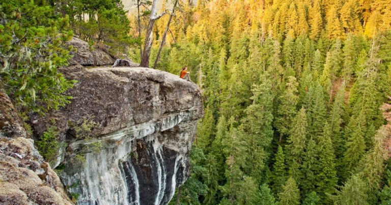 cathedral-grove-canyon