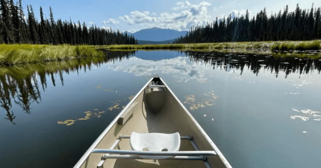 bowron-lake-wildlife