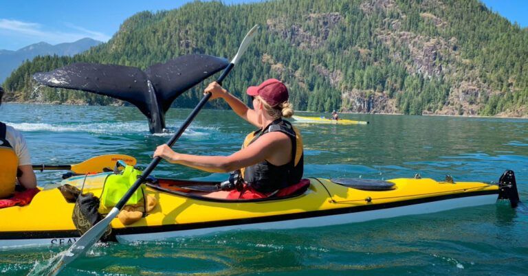 cortes-island-bc-whale-watching