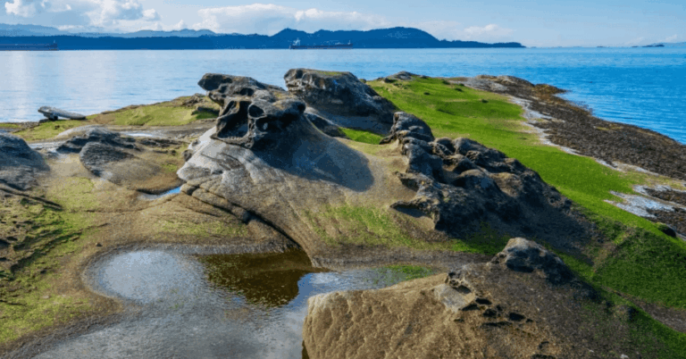 Gabriela-island-bc-25