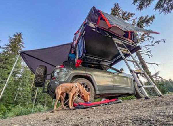 he Ultimate Guide to Choosing and Using Fire Cooking Grills